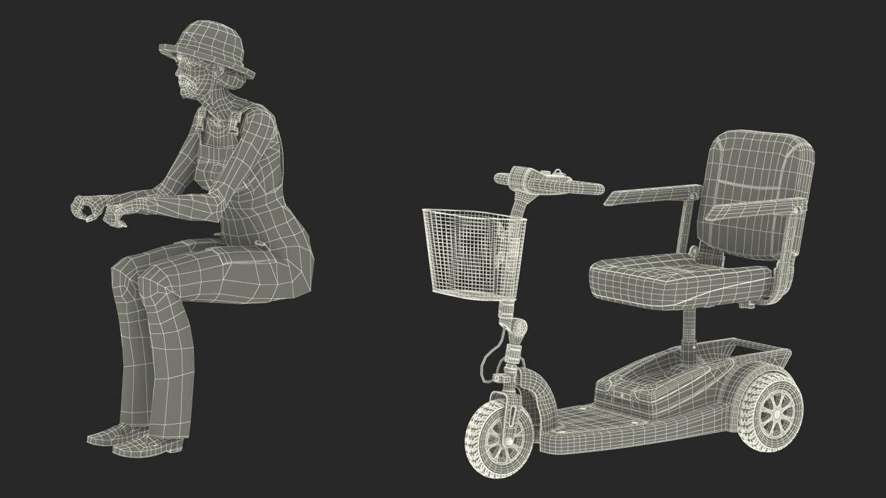 3D Elderly Woman on Electric Wheelchair Rigged model