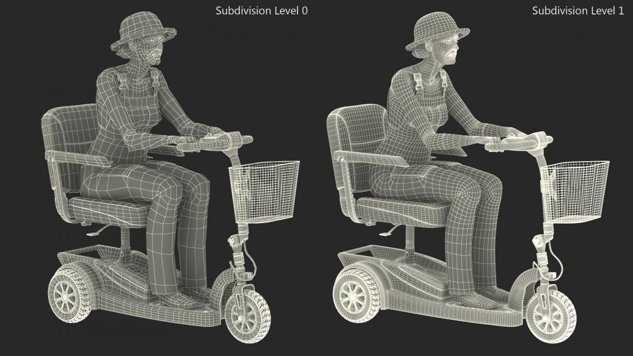 3D Elderly Woman on Electric Wheelchair Rigged model