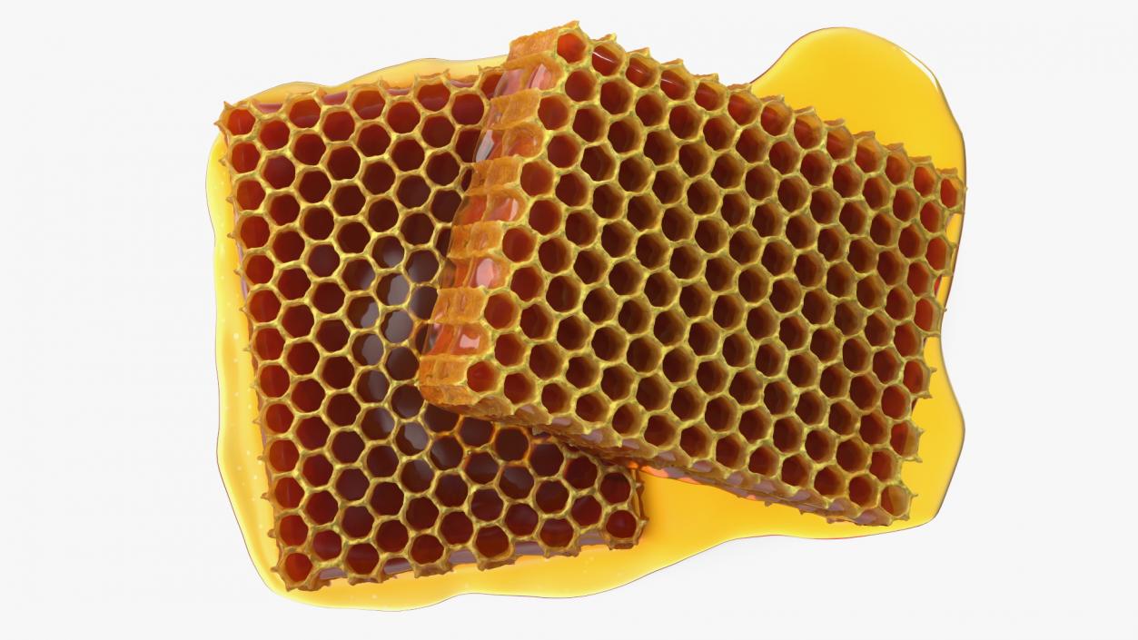 3D model Fresh Cut Honeycombs