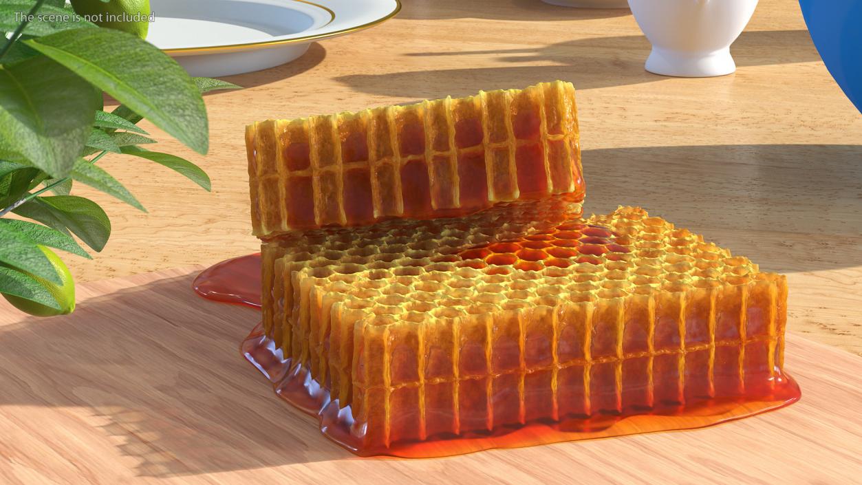 3D model Fresh Cut Honeycombs