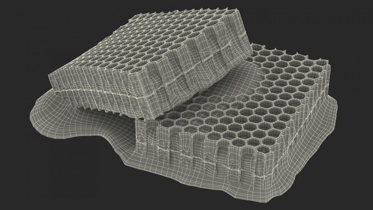 3D model Fresh Cut Honeycombs