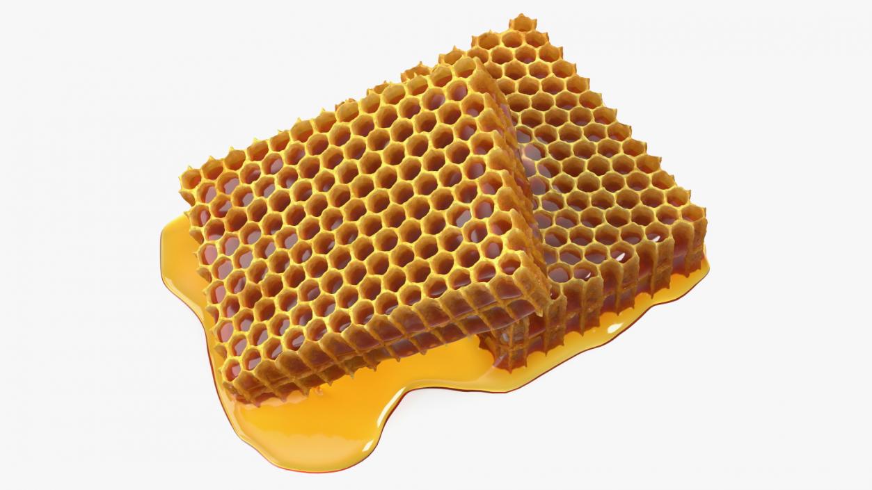 3D model Fresh Cut Honeycombs