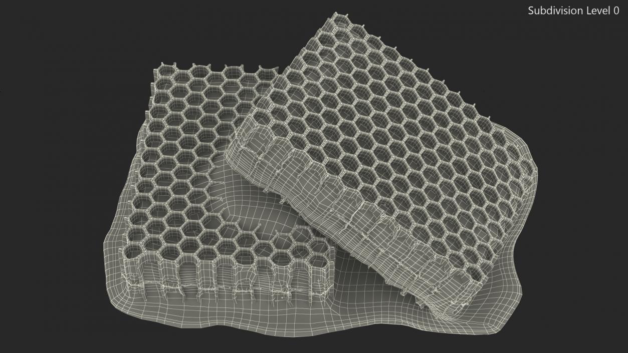 3D model Fresh Cut Honeycombs