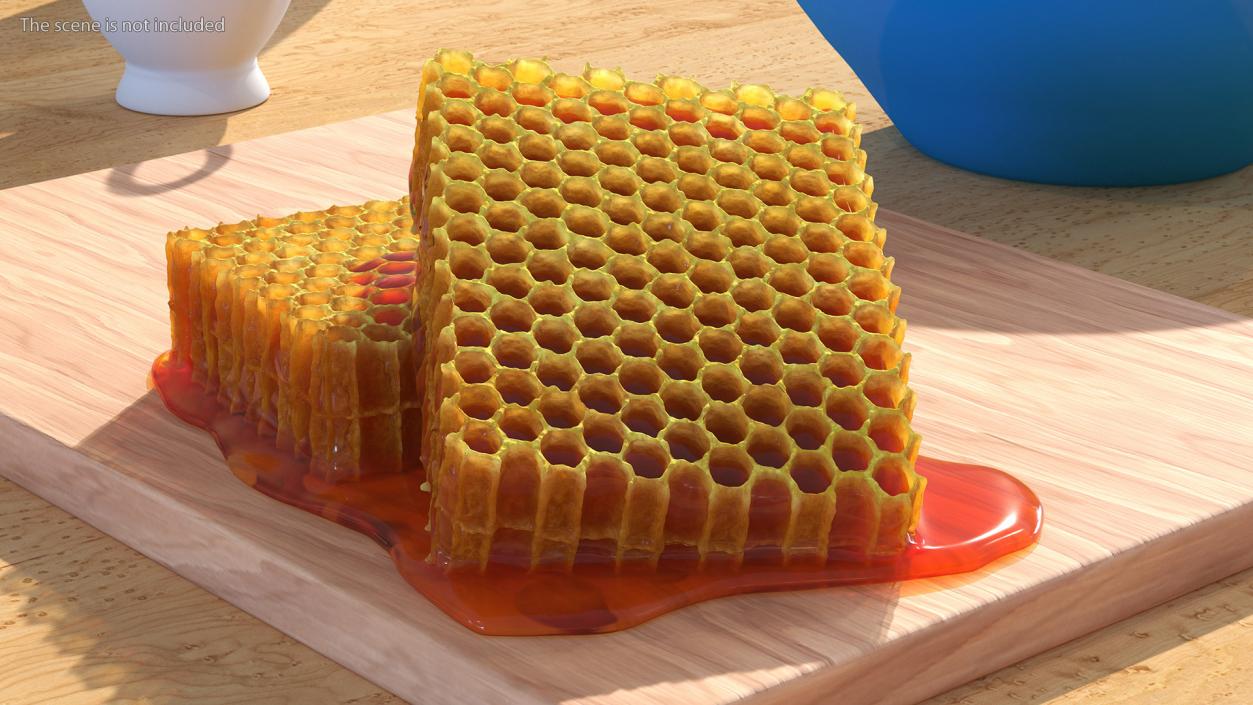 3D model Fresh Cut Honeycombs