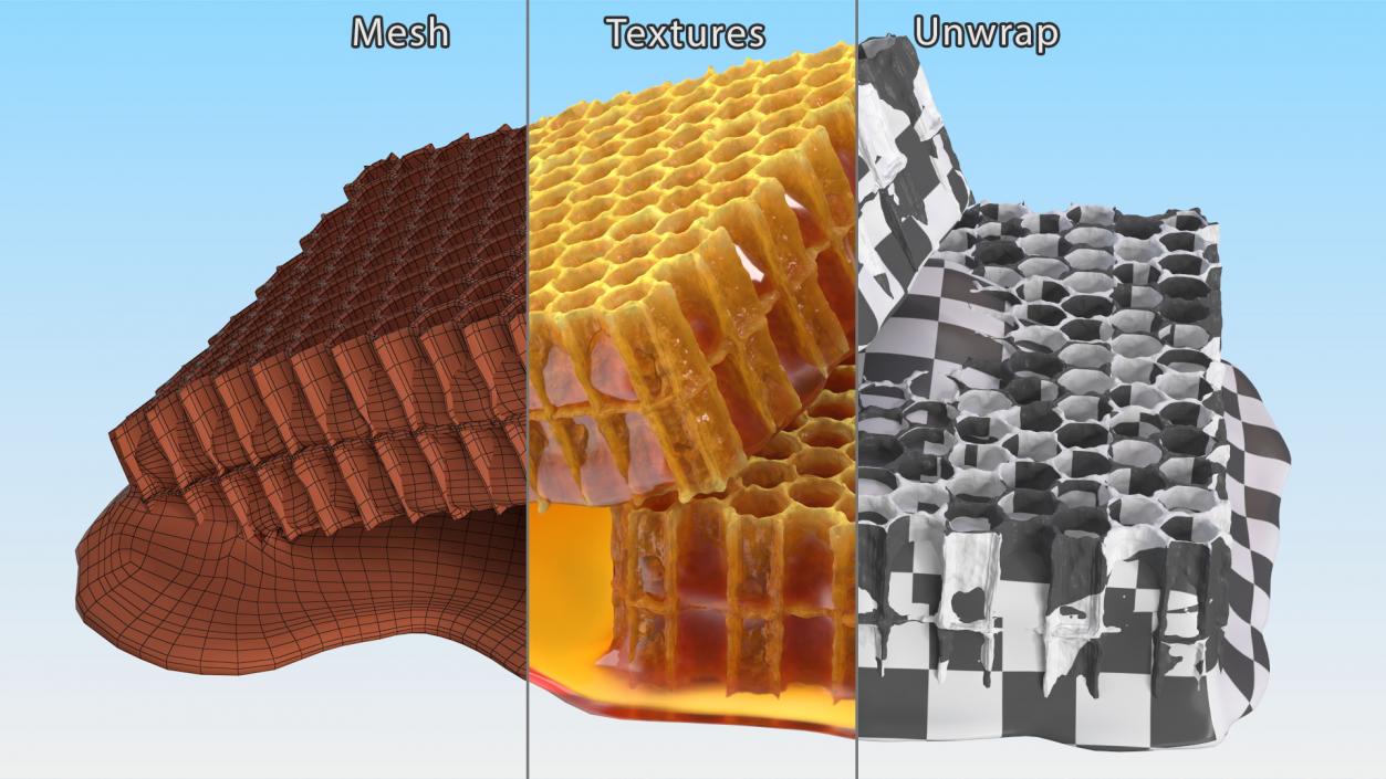 3D model Fresh Cut Honeycombs