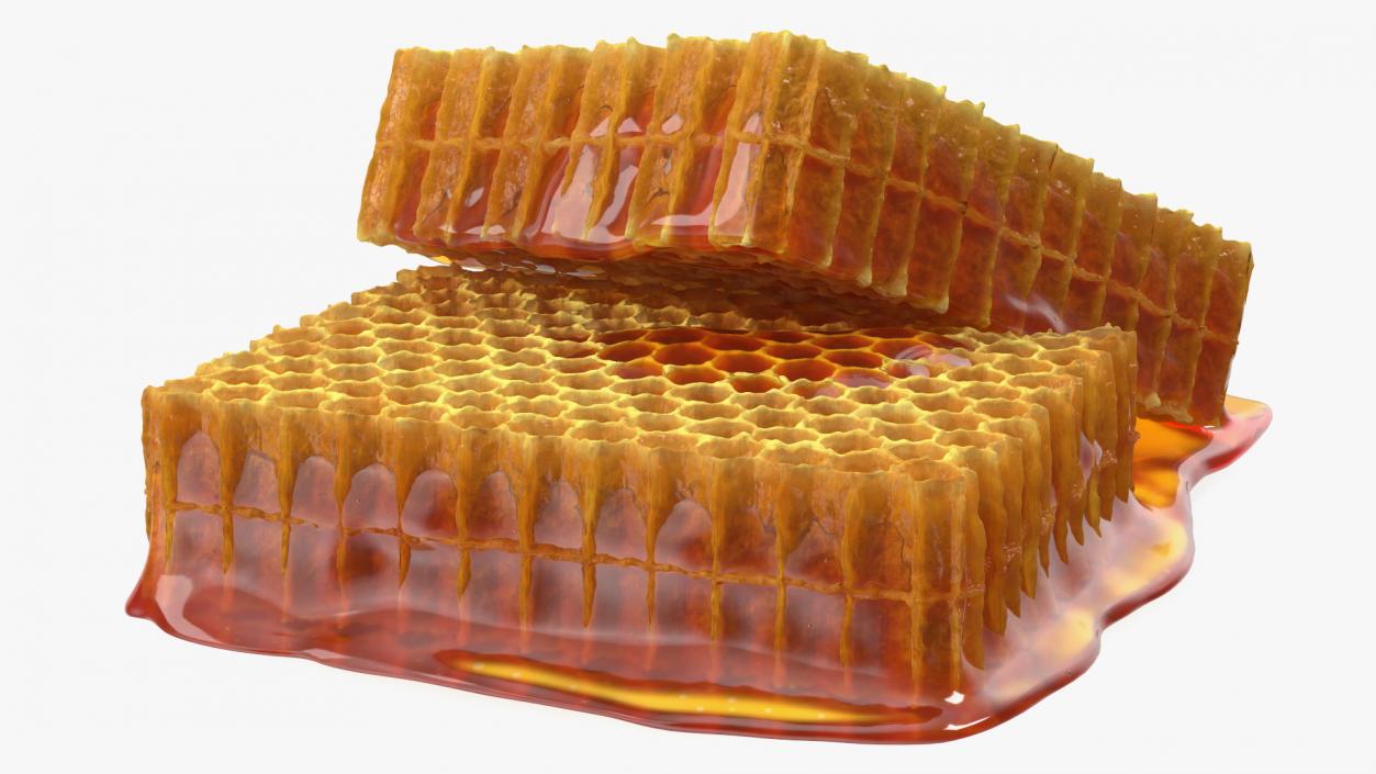 3D model Fresh Cut Honeycombs