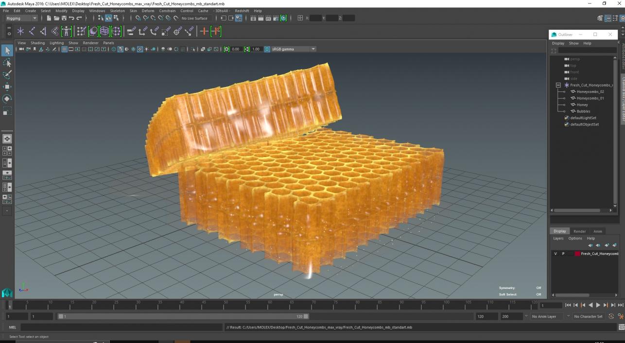 3D model Fresh Cut Honeycombs