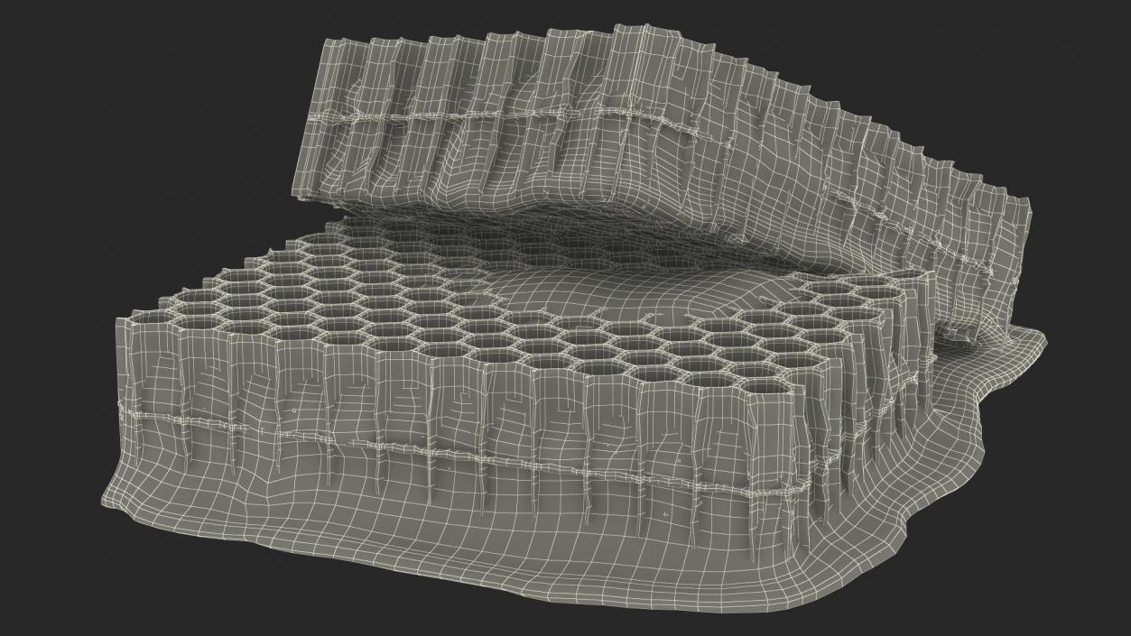 3D model Fresh Cut Honeycombs