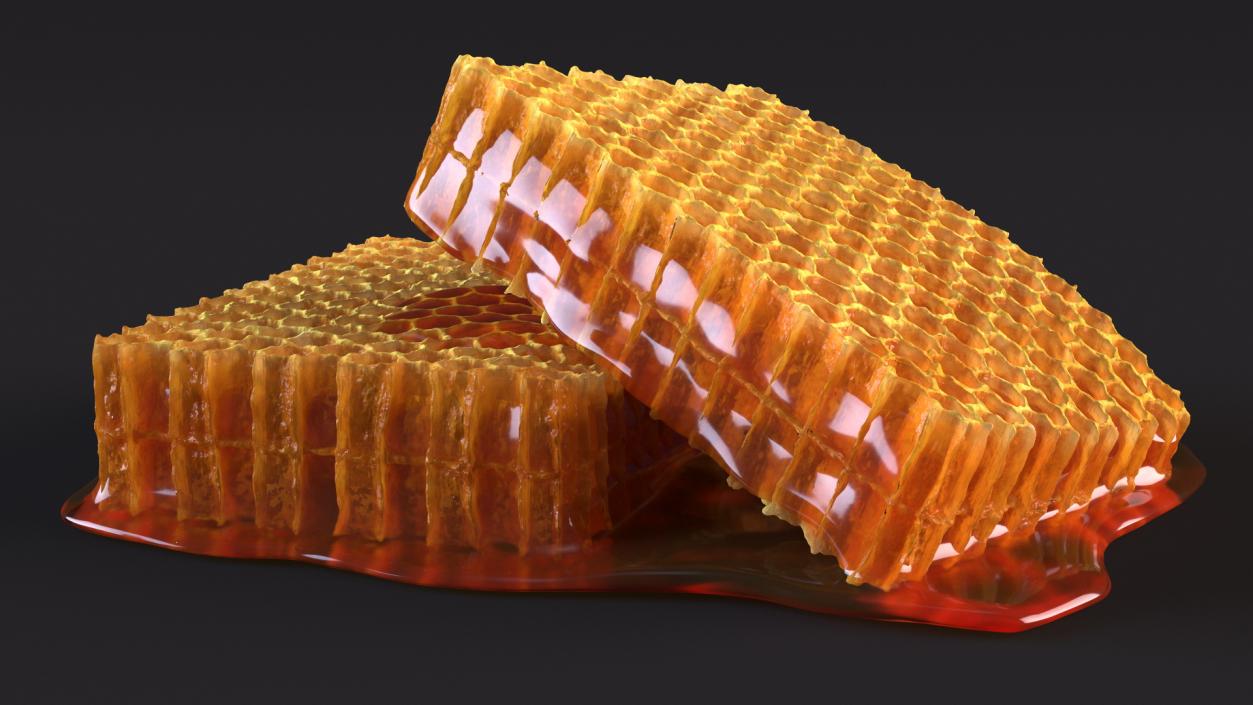 3D model Fresh Cut Honeycombs