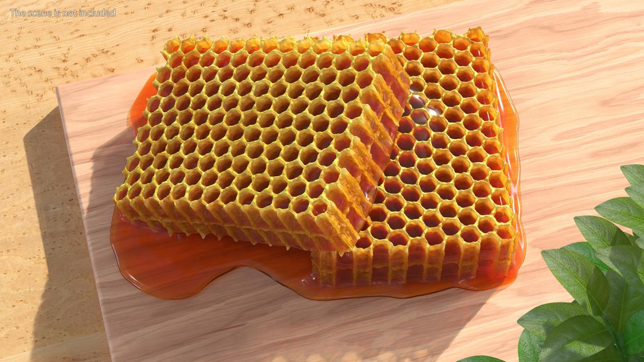 3D model Fresh Cut Honeycombs