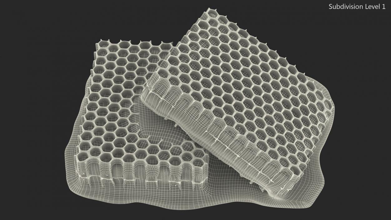 3D model Fresh Cut Honeycombs