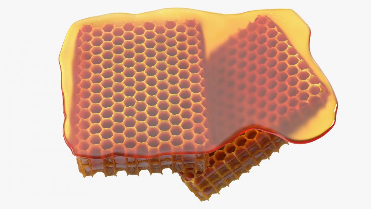 3D model Fresh Cut Honeycombs