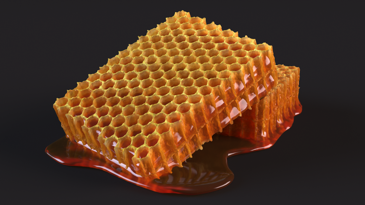 3D model Fresh Cut Honeycombs