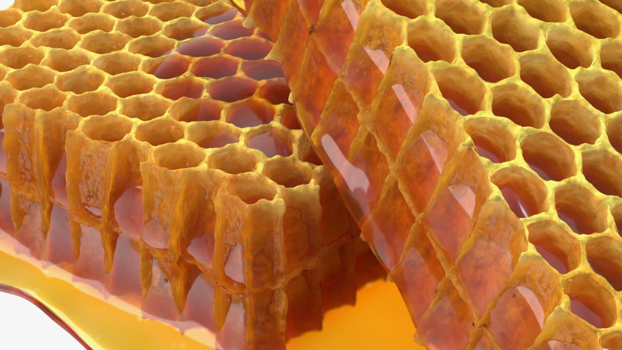 3D model Fresh Cut Honeycombs