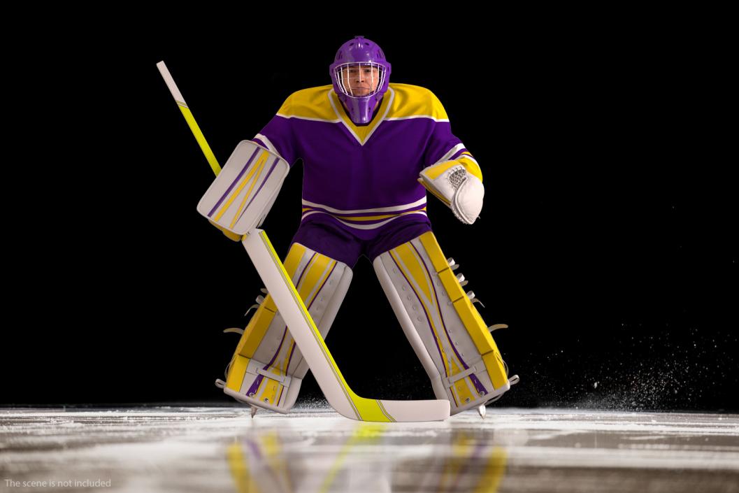 Hockey Goalkeeper Fully Equipped Attention Pose 3D