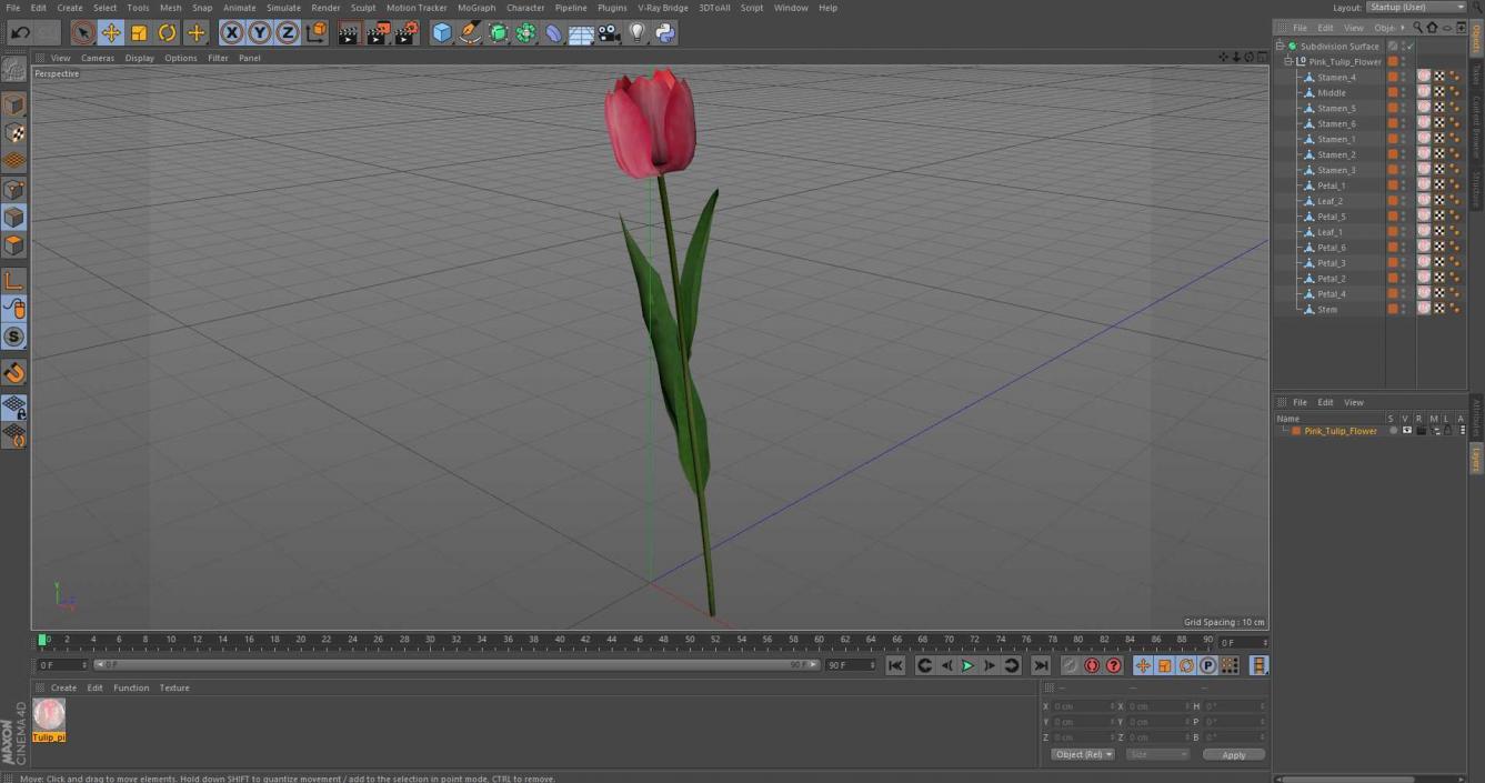 Pink Tulip Flower 3D