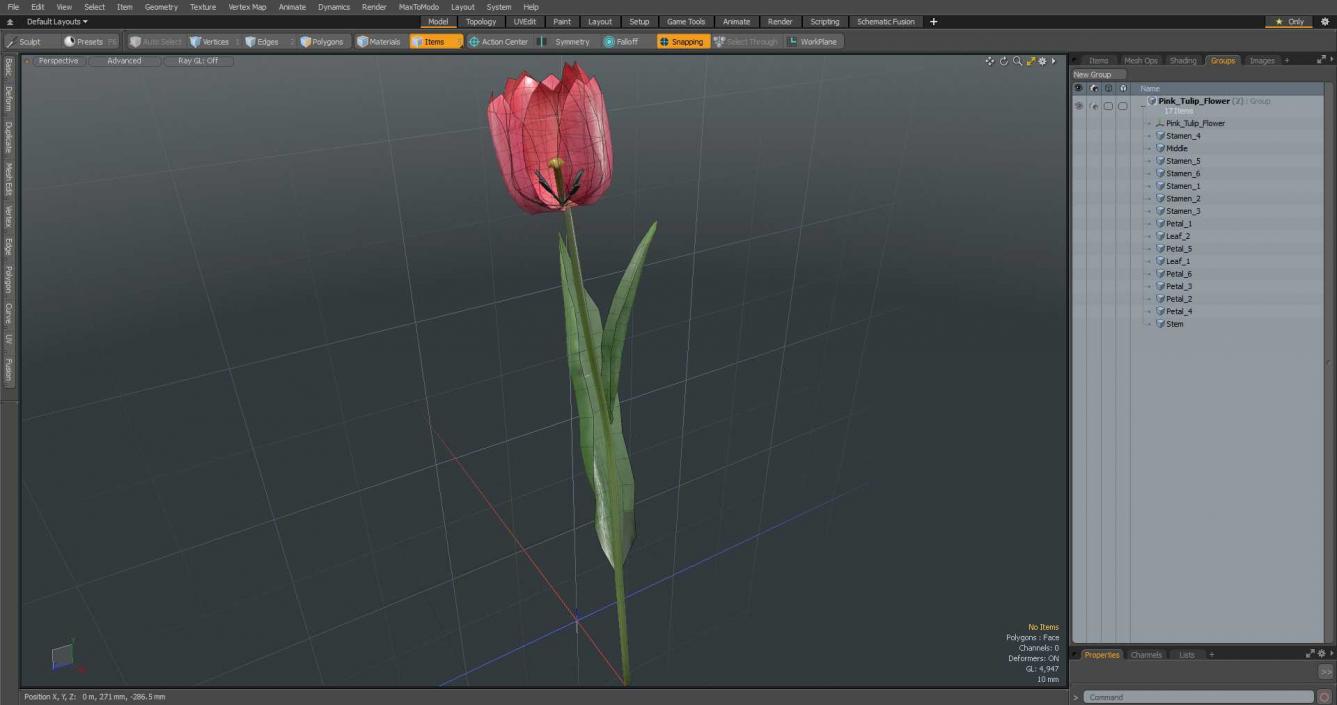 Pink Tulip Flower 3D