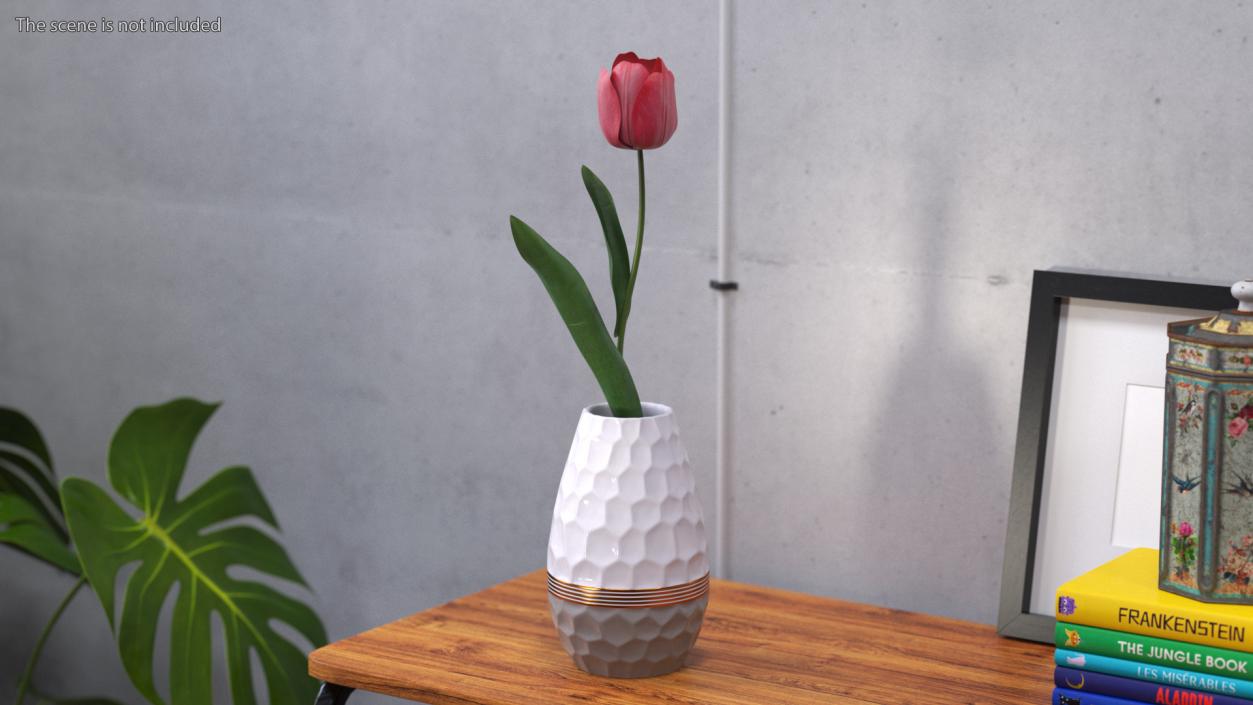 Pink Tulip Flower 3D