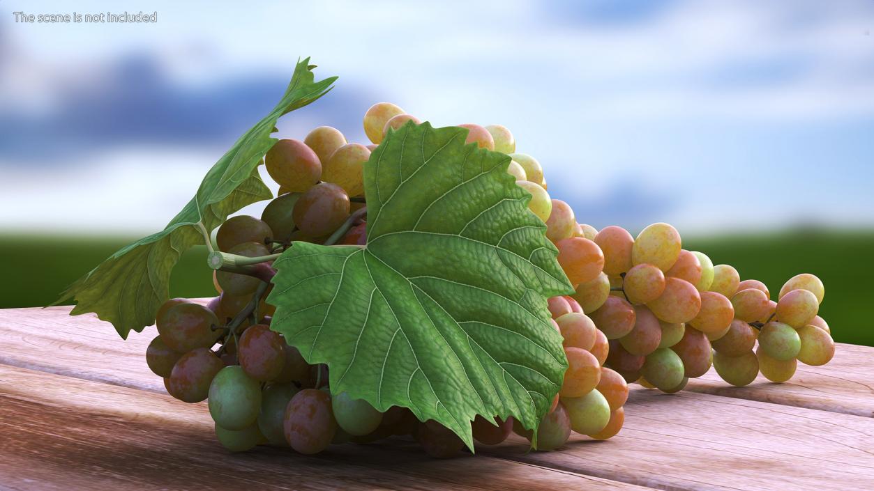 Sultana Pink Grape Cluster Lying 3D