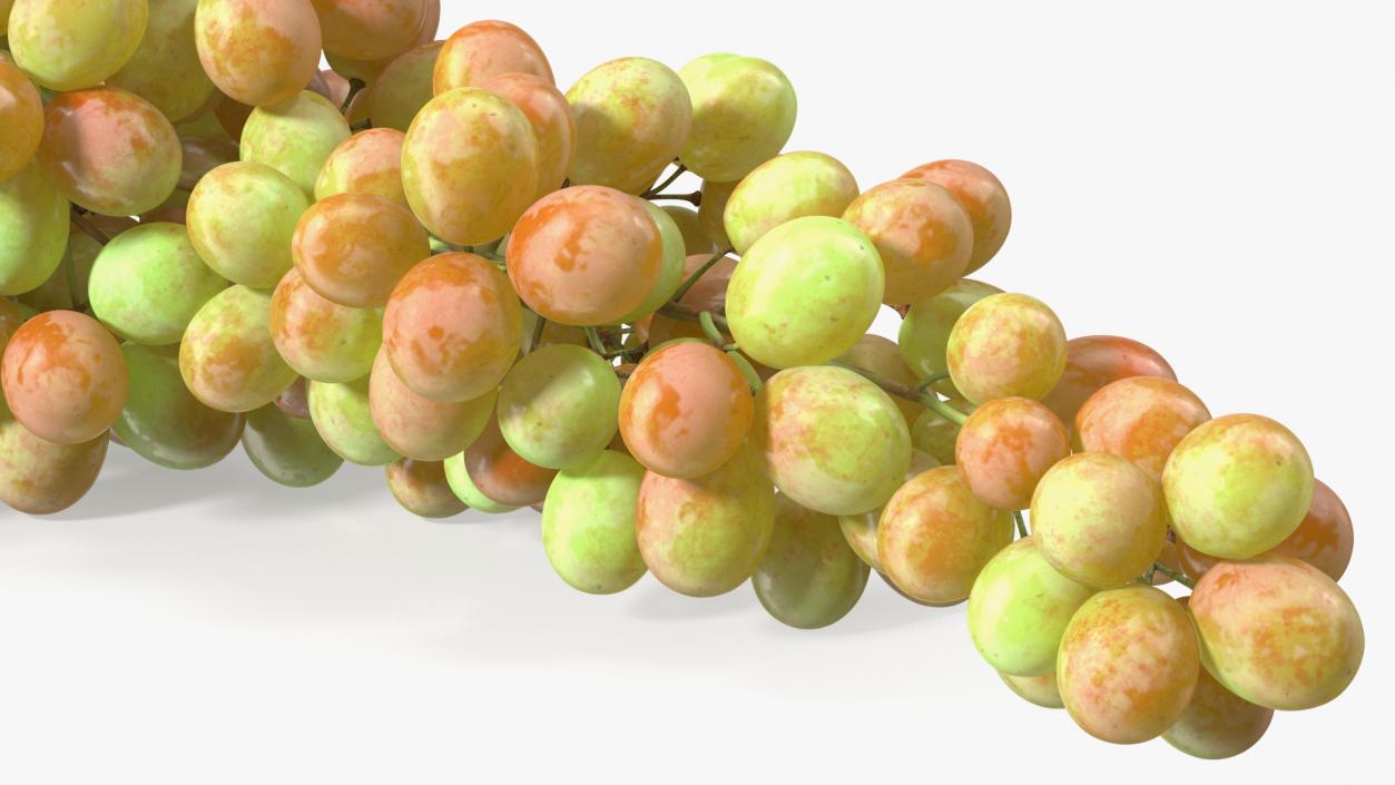 Sultana Pink Grape Cluster Lying 3D