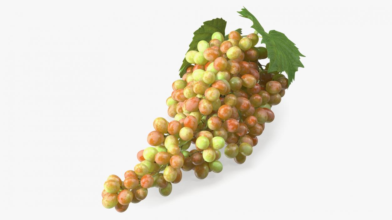 Sultana Pink Grape Cluster Lying 3D