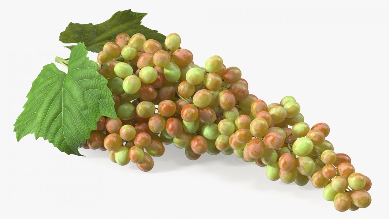 Sultana Pink Grape Cluster Lying 3D