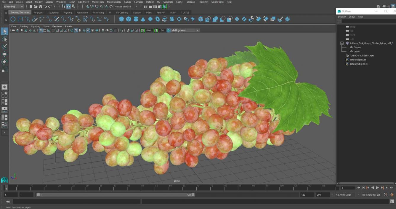 Sultana Pink Grape Cluster Lying 3D