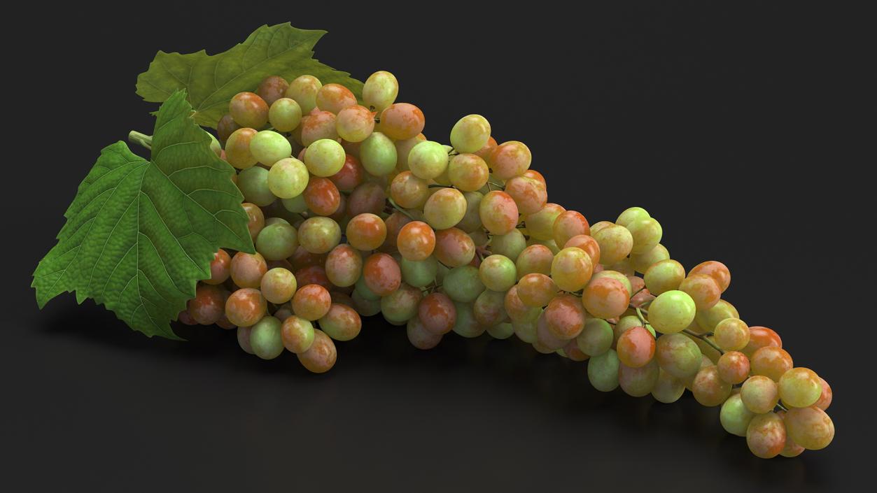 Sultana Pink Grape Cluster Lying 3D