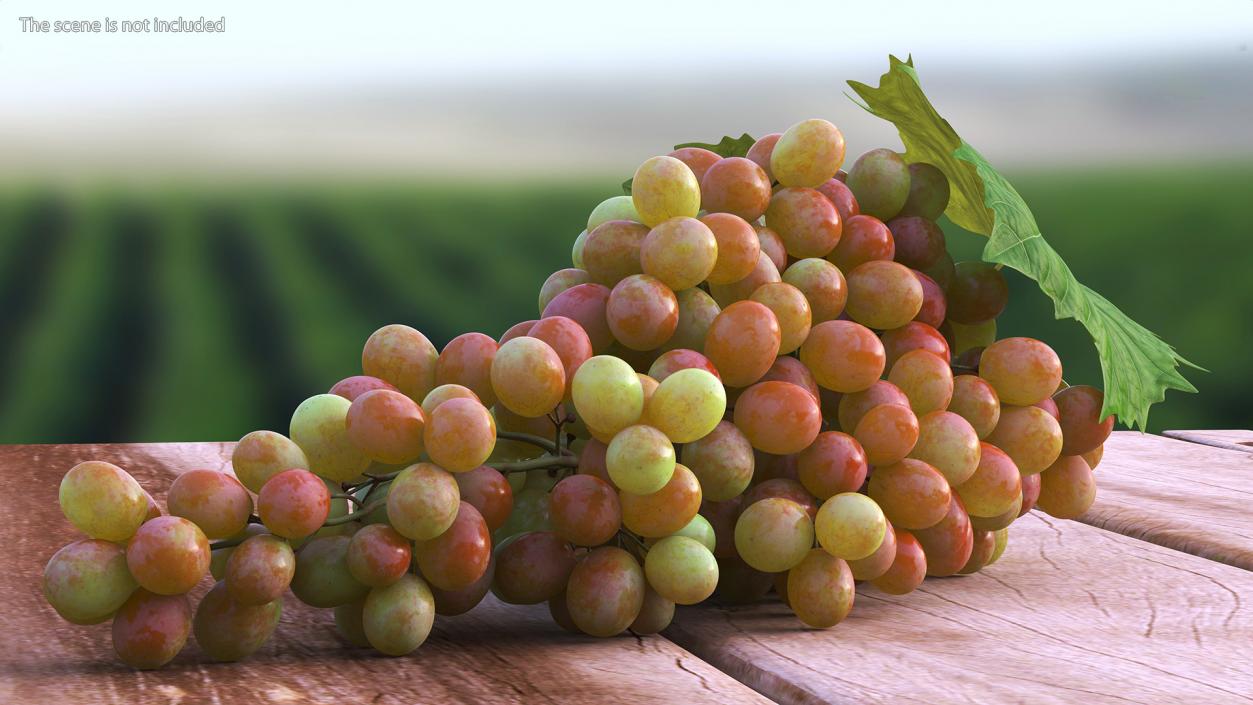 Sultana Pink Grape Cluster Lying 3D