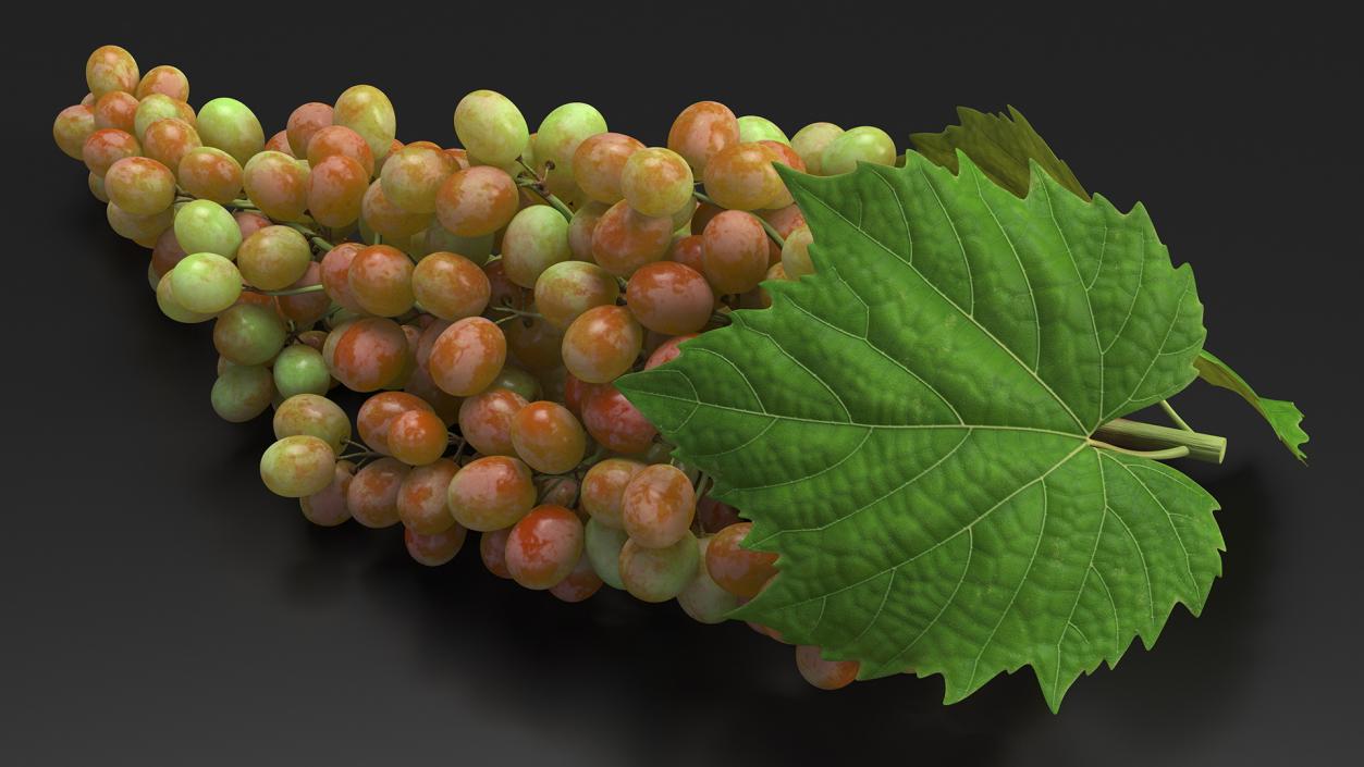 Sultana Pink Grape Cluster Lying 3D