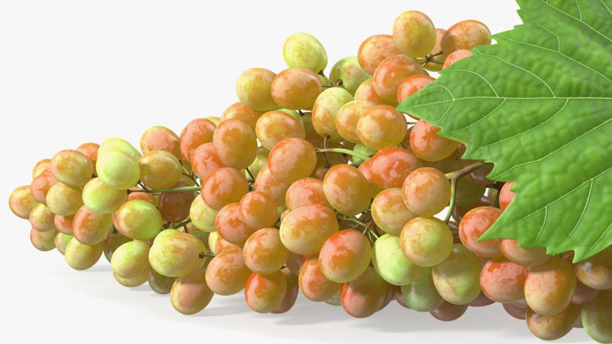 Sultana Pink Grape Cluster Lying 3D