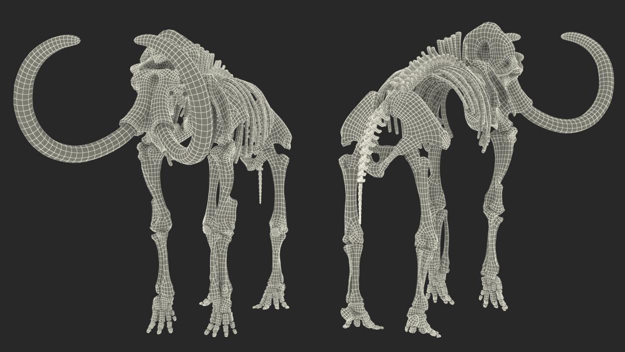 3D Mammoth Skeleton Old Bones Rigged model