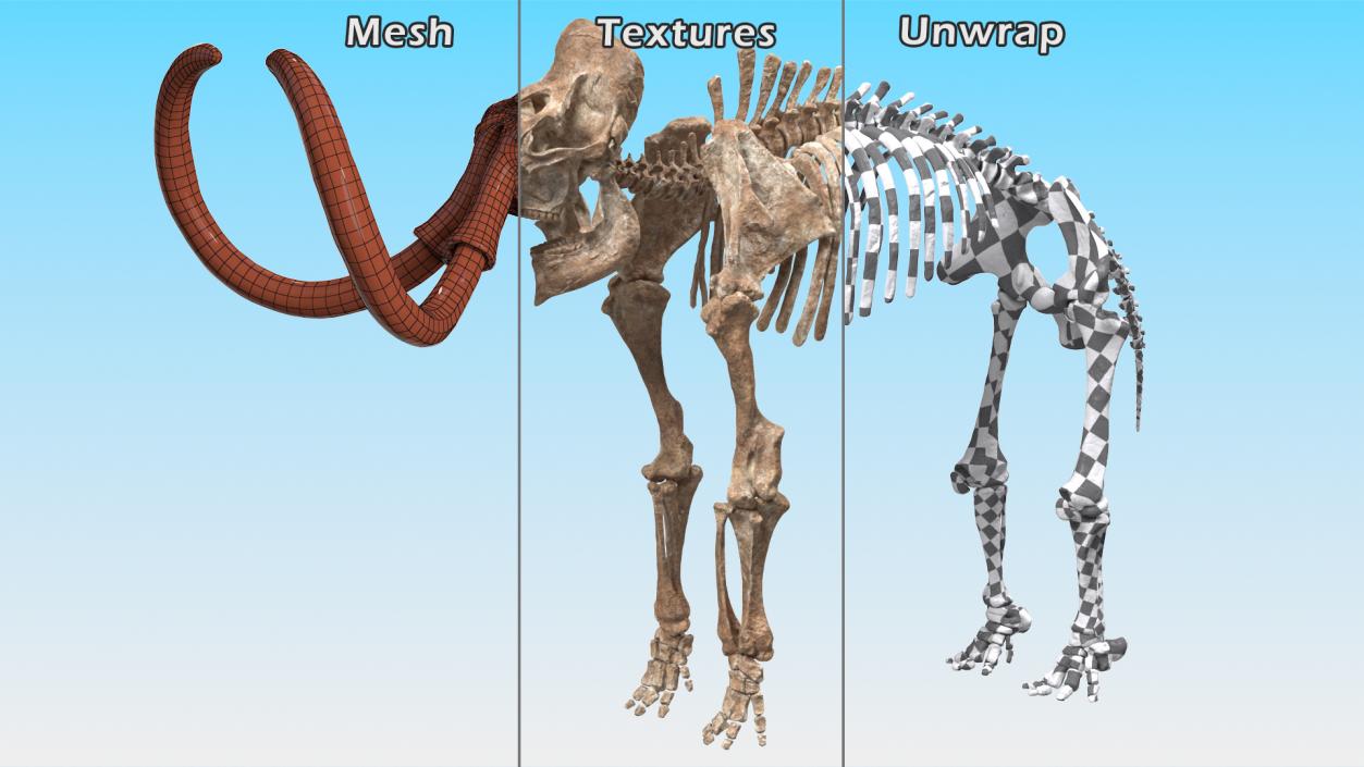 3D Mammoth Skeleton Old Bones Rigged model