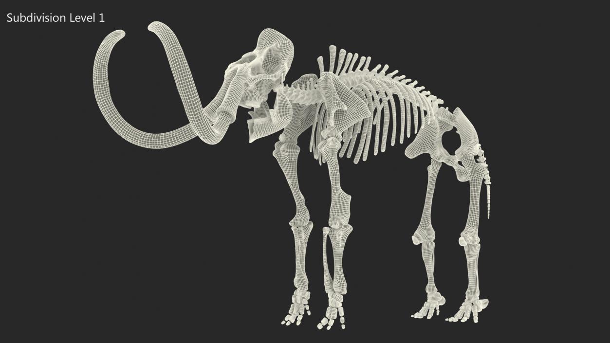 3D Mammoth Skeleton Old Bones Rigged model