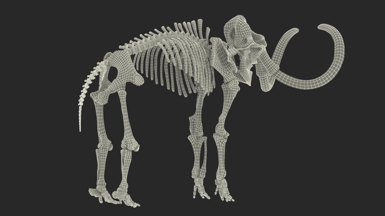 3D Mammoth Skeleton Old Bones Rigged model