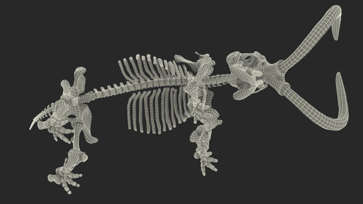 3D Mammoth Skeleton Old Bones Rigged model