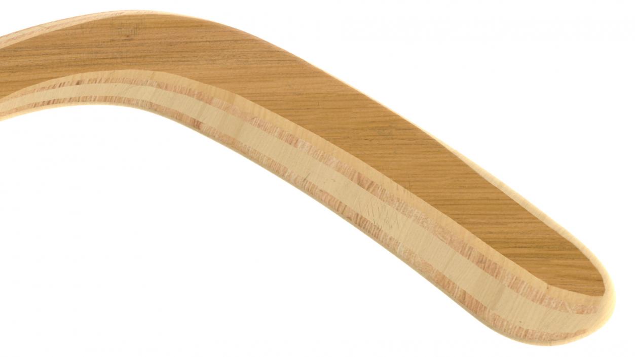 Heavy Wooden Boomerang 3D