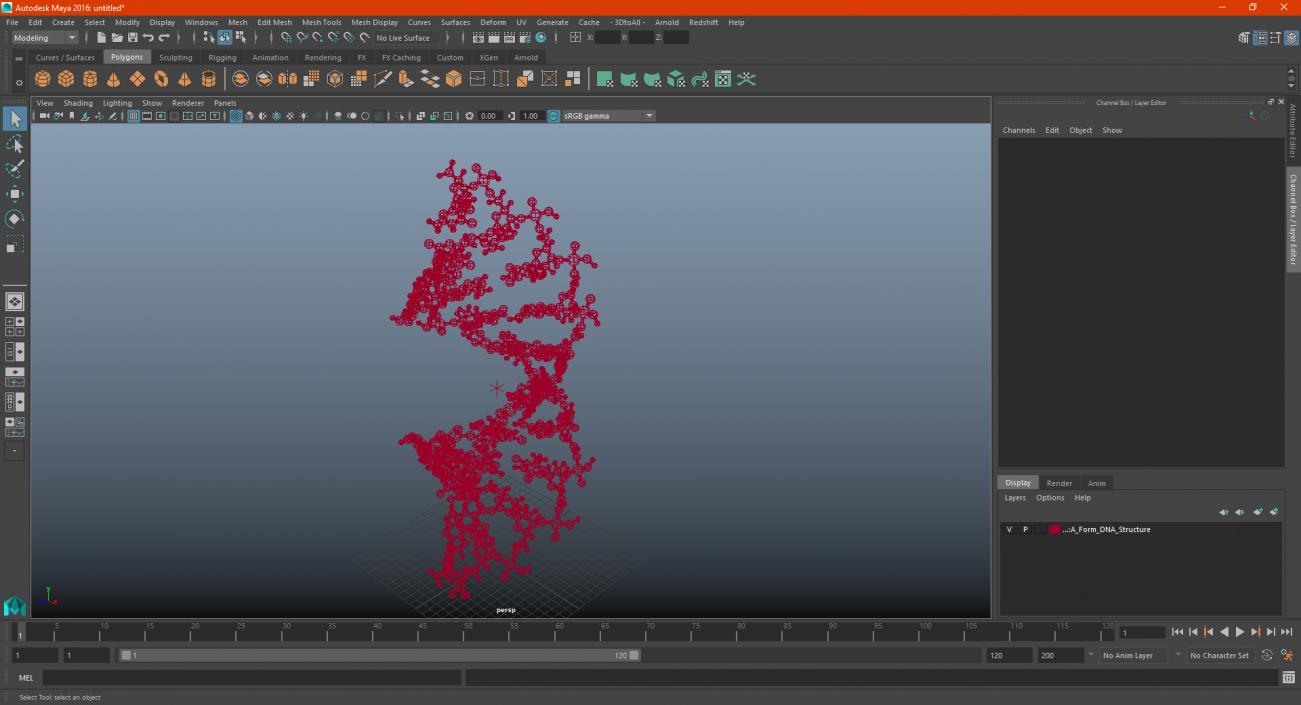 3D model A Form DNA Structure