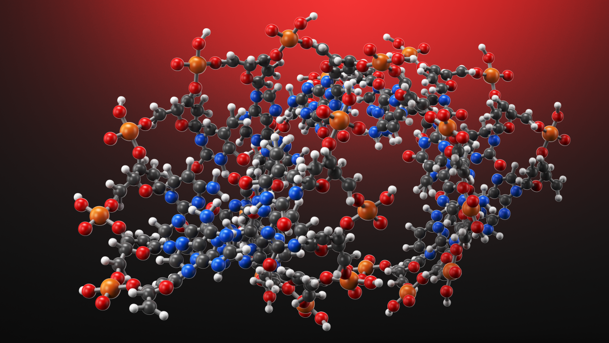 3D model A Form DNA Structure