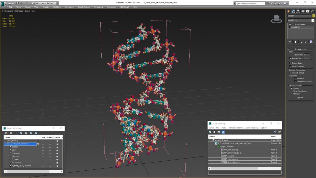 3D model A Form DNA Structure