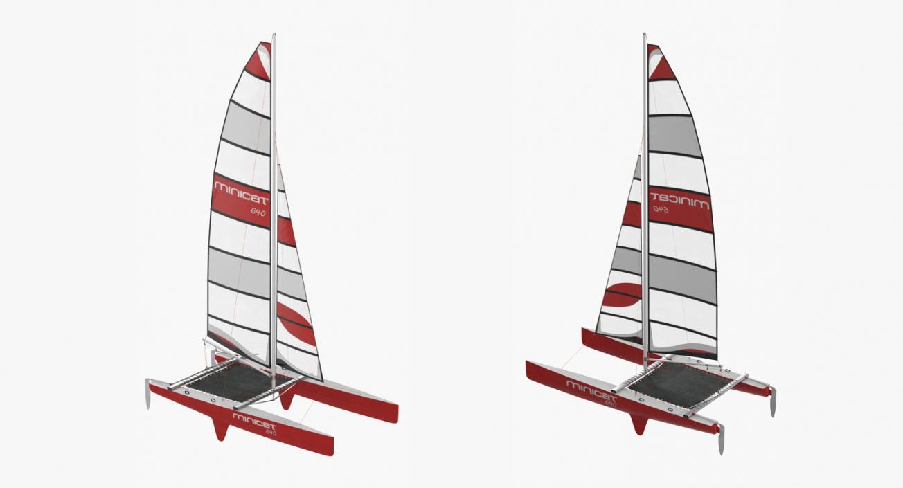 3D International A Class Catamaran