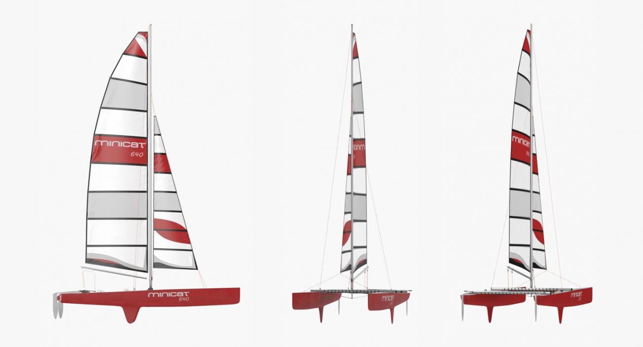 3D International A Class Catamaran