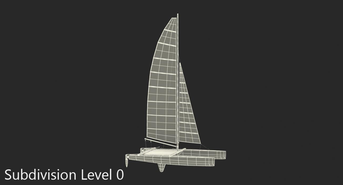 3D International A Class Catamaran