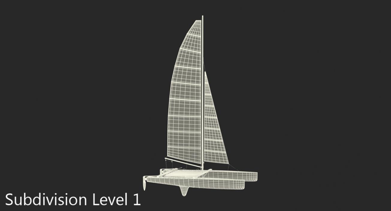 3D International A Class Catamaran