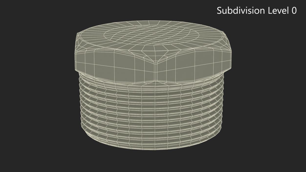 Fitting Hex Plug SS304 3D