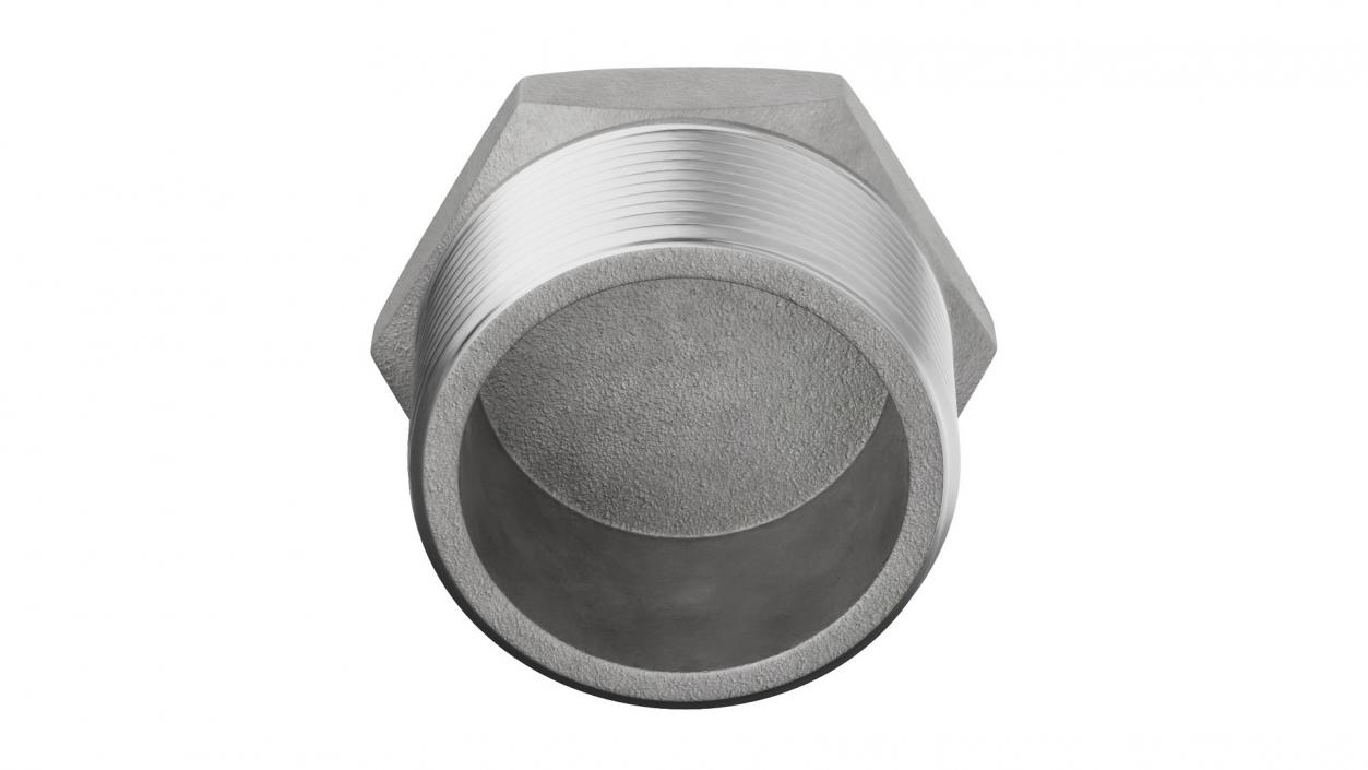 Fitting Hex Plug SS304 3D