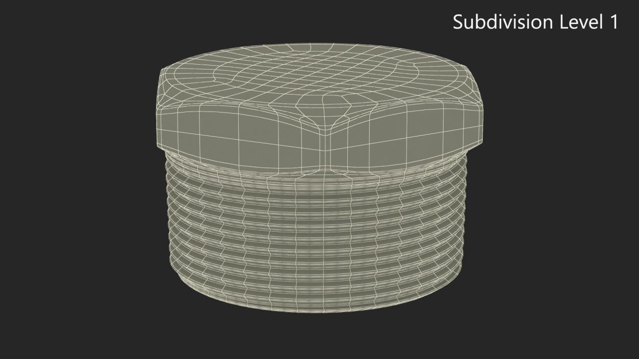 Fitting Hex Plug SS304 3D