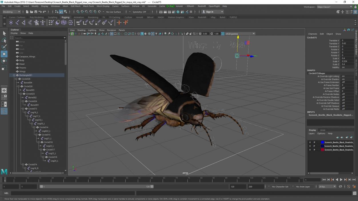 3D Screech Beetle Black Rigged for Maya