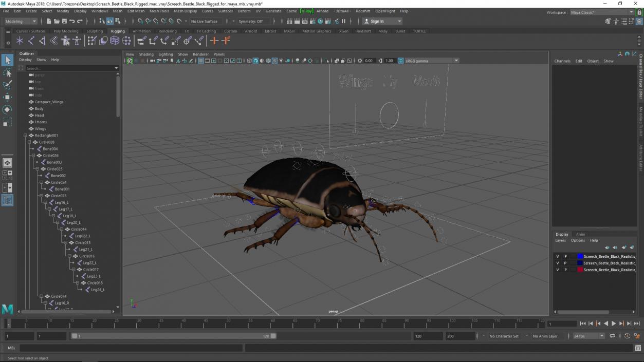 3D Screech Beetle Black Rigged for Maya