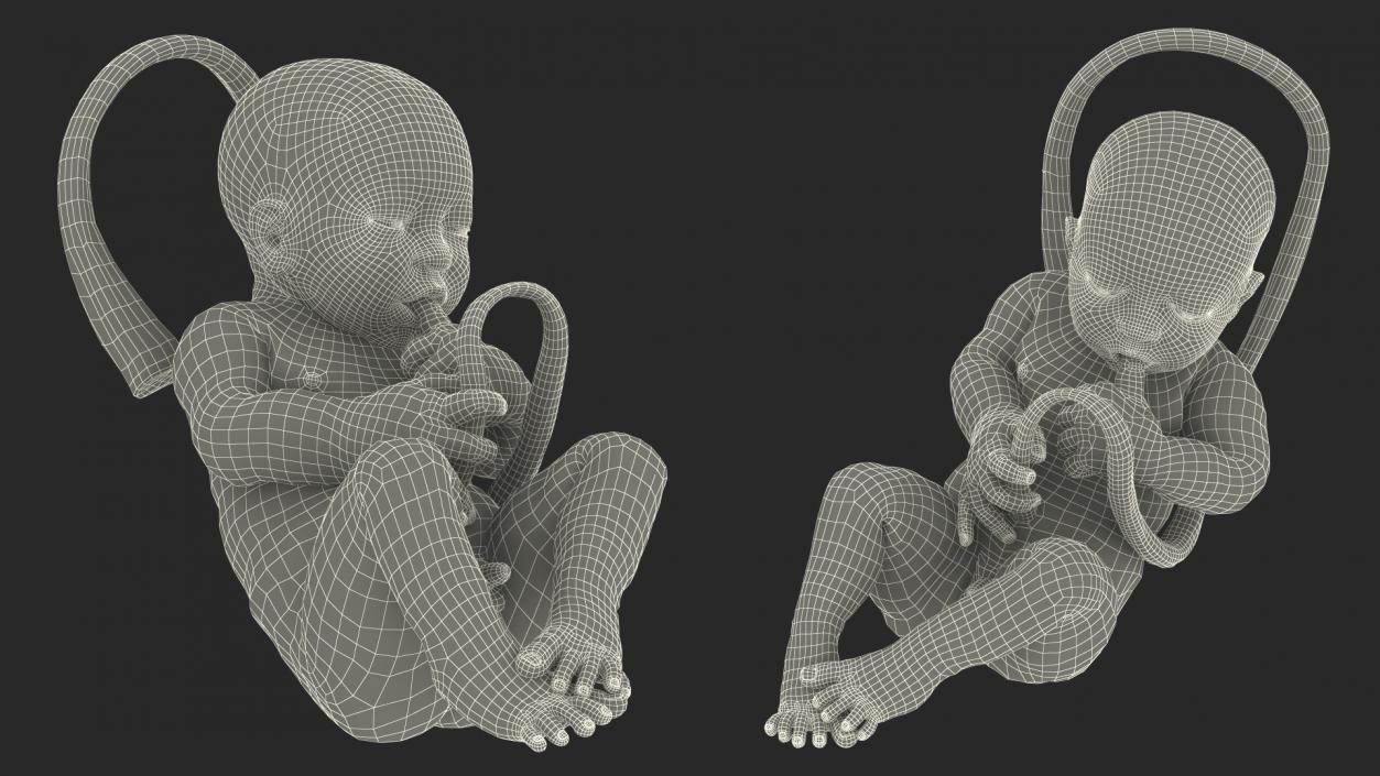 Human Incubator with Child Black 3D